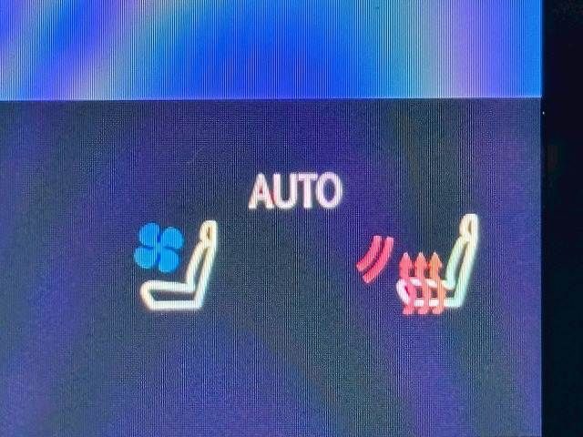 TOYOTA LEXUS RX500H 2023 Image 31