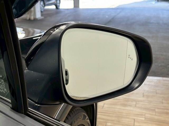 TOYOTA LEXUS RX500H 2023 Image 31