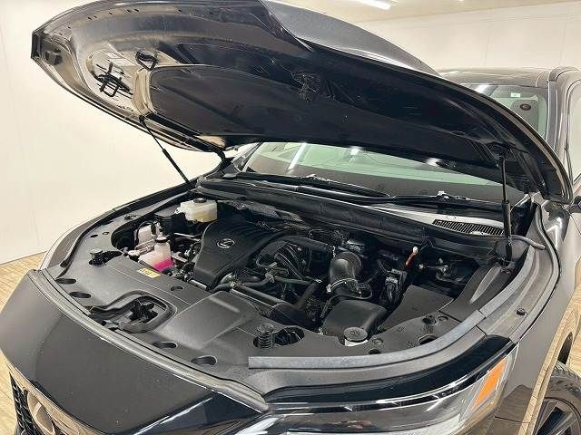 TOYOTA LEXUS RX500H 2023 Image 31