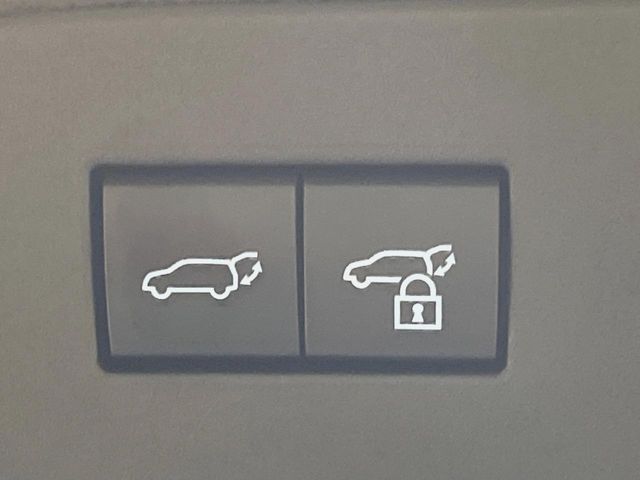 TOYOTA LANDCRUISER 250 2025 Image 31