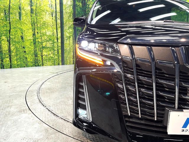 TOYOTA ALPHARD 2019 Image 31