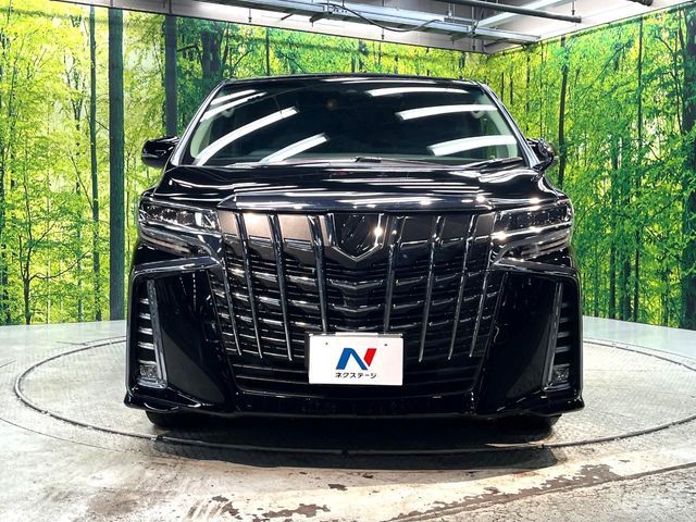 TOYOTA ALPHARD 2019 Image 31