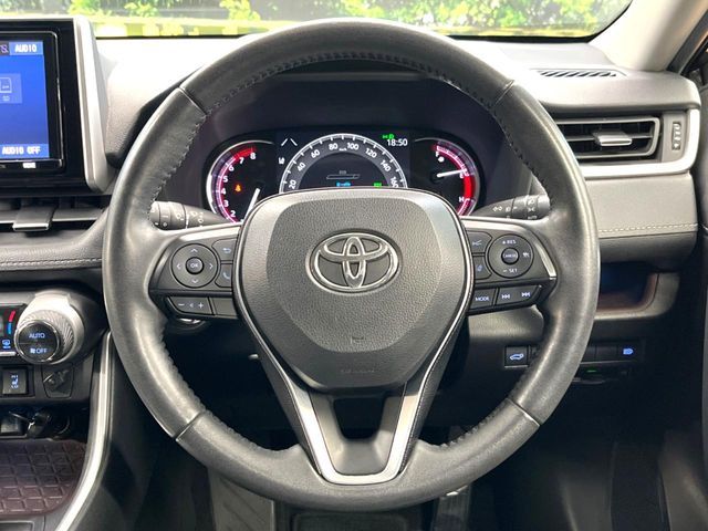 TOYOTA RAV4 4WD 2019 Image 31