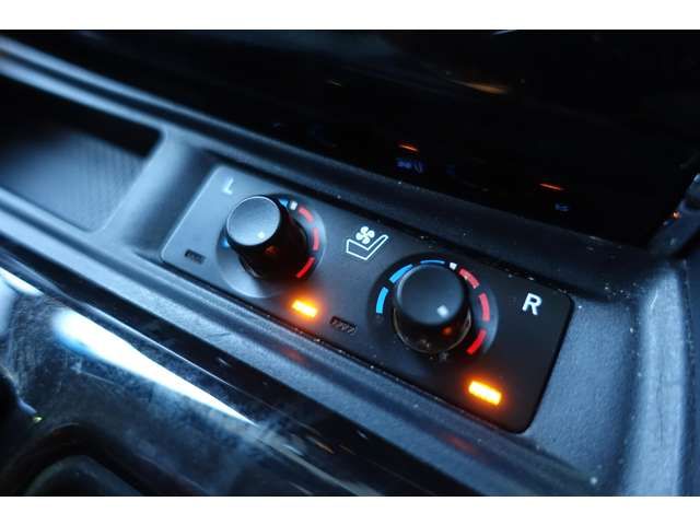 TOYOTA ALPHARD 4WD 2023 Image 31