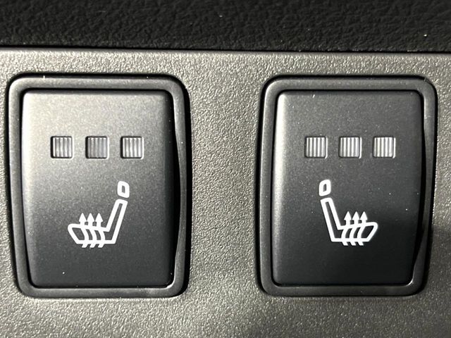 NISSAN X-TRAIL HYBRID 4WD 2024 Image 31