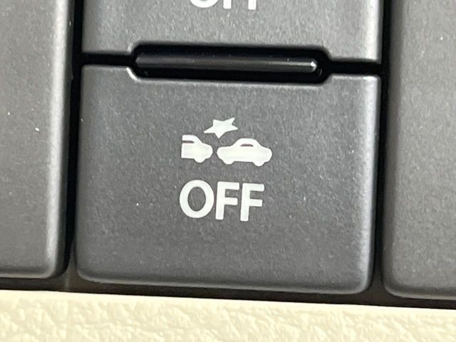 SUZUKI ALTO LAPIN 2019 Image 31