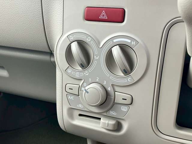 SUZUKI ALTO LAPIN 2020 Image 31