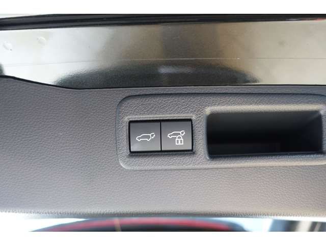 TOYOTA HARRIER HYBRID 2025 Image 31