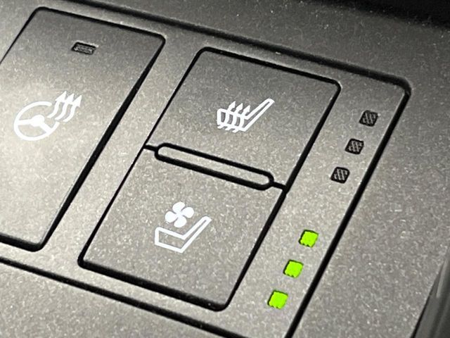 TOYOTA LEXUS IS300H 2021 Image 31