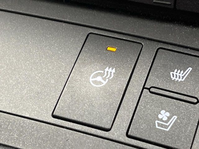 TOYOTA LEXUS IS300H 2021 Image 31