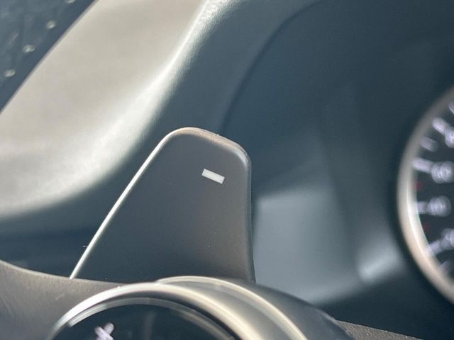 ROVER DISCOVERY SPOR 2020 Image 31