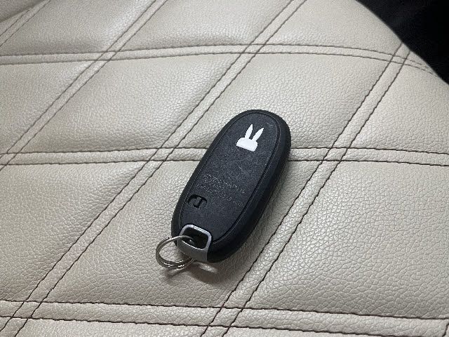 SUZUKI ALTO LAPIN 2020 Image 31