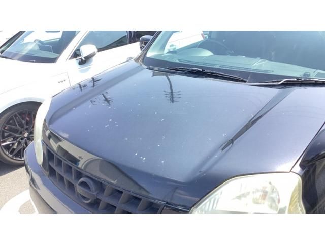 NISSAN X-TRAIL 4WD 2009 Image 31