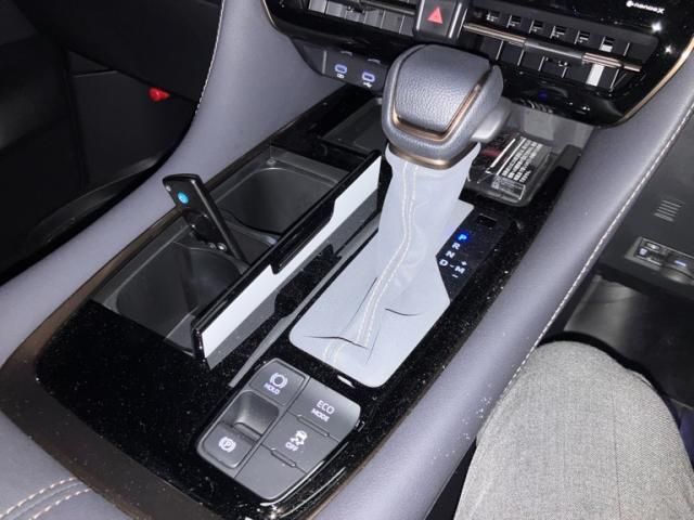 TOYOTA ALPHARD 2025 Image 31