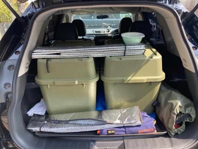 NISSAN X-TRAIL 2WD 2014 Image 31