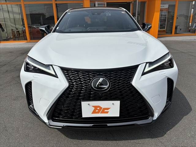 TOYOTA LEXUS UX250H 2023 Image 31