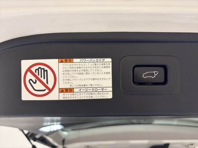 TOYOTA ALPHARD HYBRID 4WD 2015 Image 31