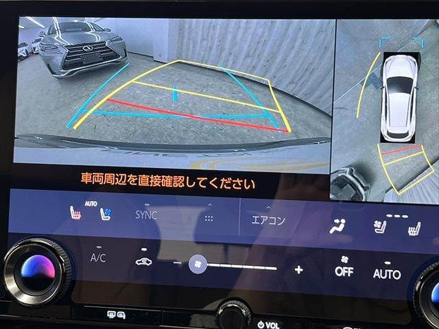 TOYOTA LEXUS NX350H AWD 2024 Image 31