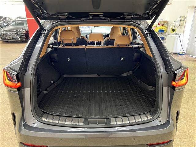 TOYOTA LEXUS NX350H AWD 2024 Image 31