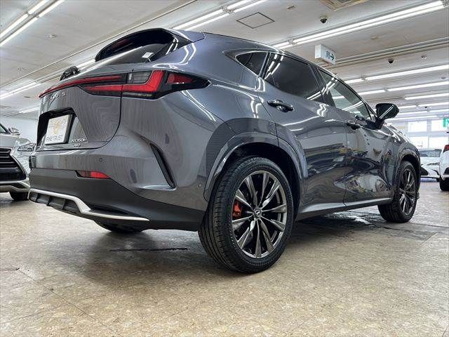 TOYOTA LEXUS NX350H AWD 2024 Image 31