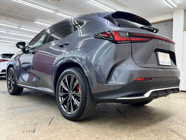 TOYOTA LEXUS NX350H AWD 2024 Image 31