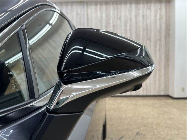 TOYOTA LEXUS NX350H AWD 2024 Image 31