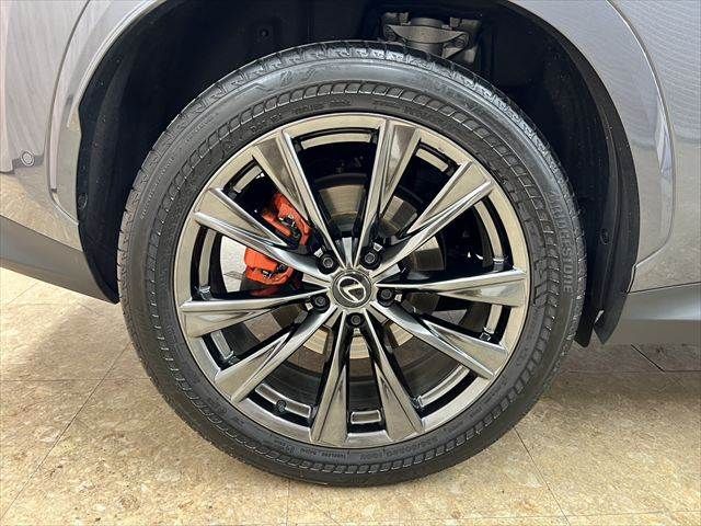 TOYOTA LEXUS NX350H AWD 2024 Image 31