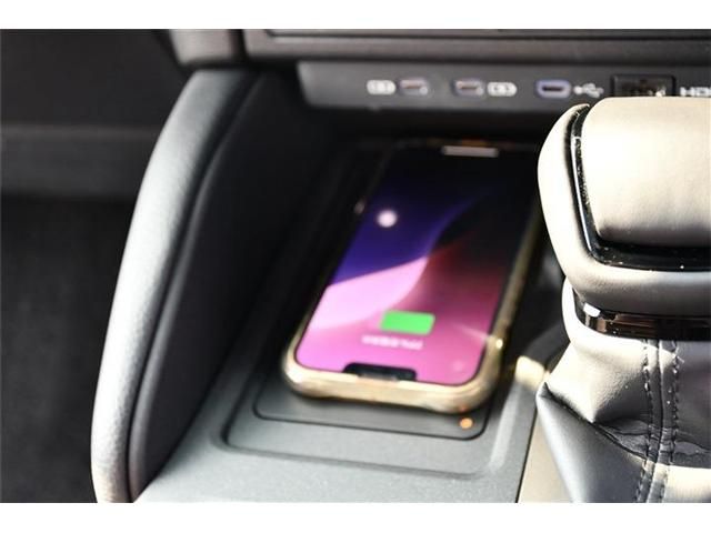 TOYOTA LANDCRUISER 250 2024 Image 31