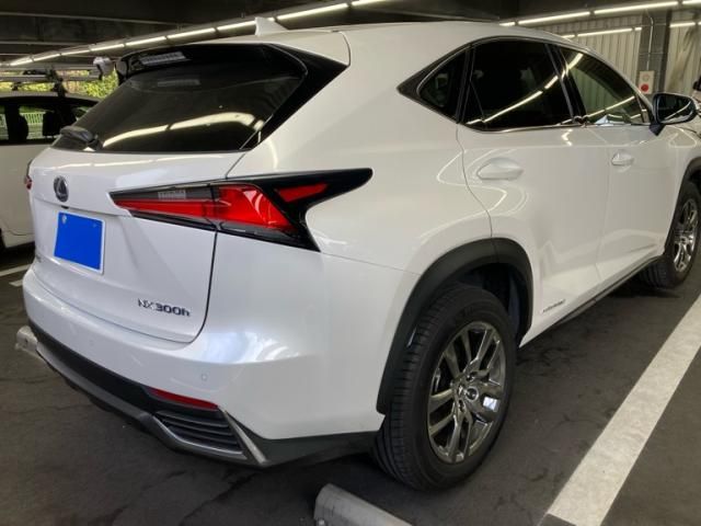 TOYOTA LEXUS NX300H 2021 Image 31