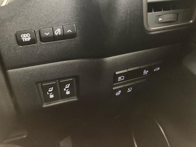 TOYOTA LEXUS NX300H 2021 Image 31