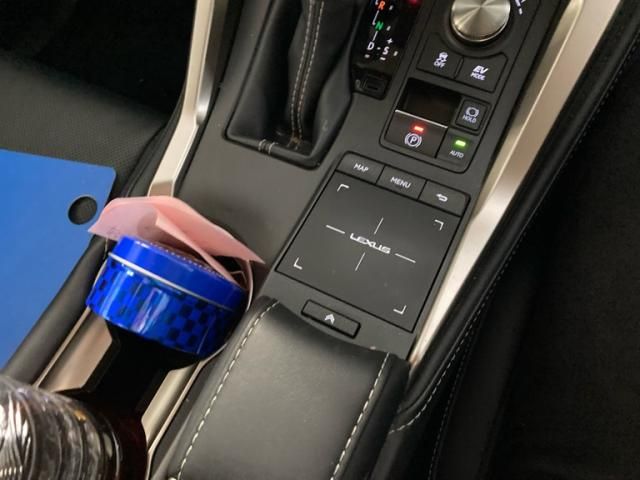 TOYOTA LEXUS NX300H 2021 Image 31