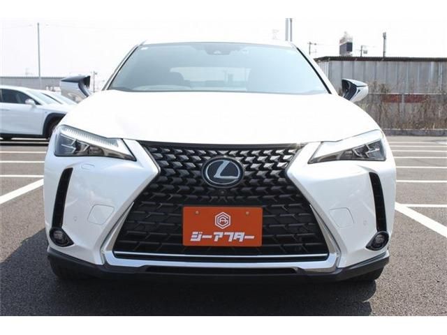 TOYOTA LEXUS UX200 2019 Image 31