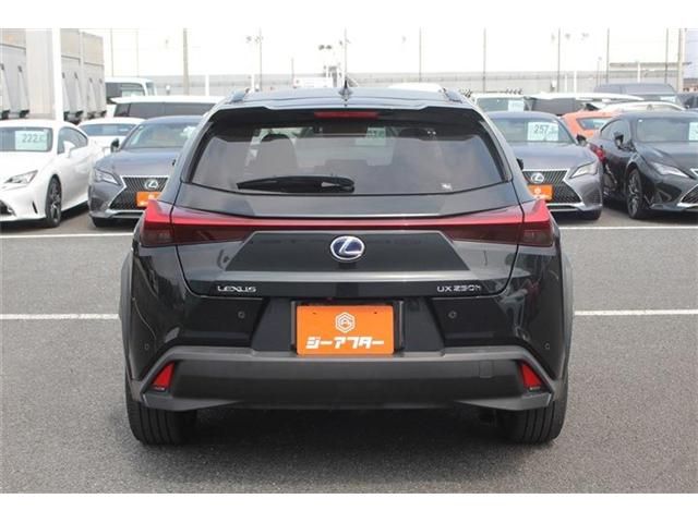 TOYOTA LEXUS UX250H AWD 2021 Image 31