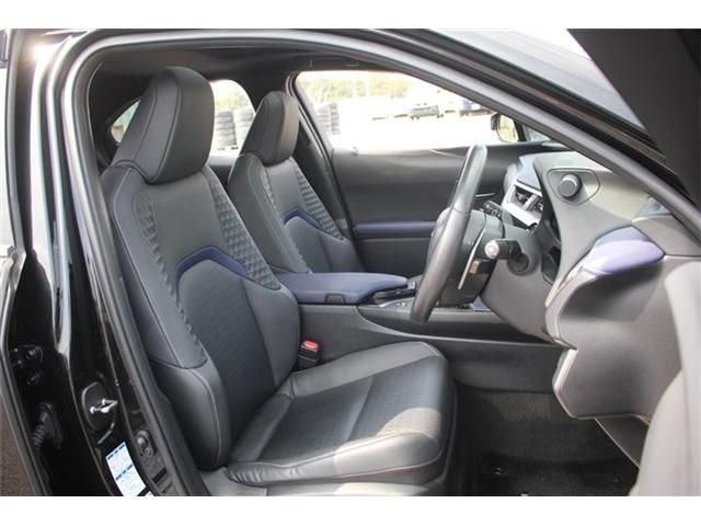 TOYOTA LEXUS UX250H AWD 2021 Image 31