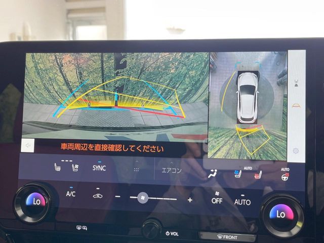 TOYOTA LEXUS NX250 2024 Image 31