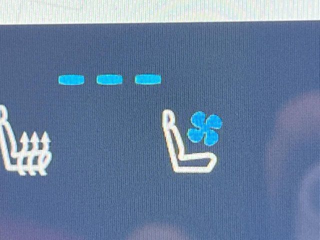 TOYOTA LEXUS NX250 2024 Image 31