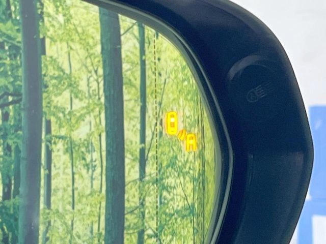 TOYOTA LEXUS NX250 2024 Image 31