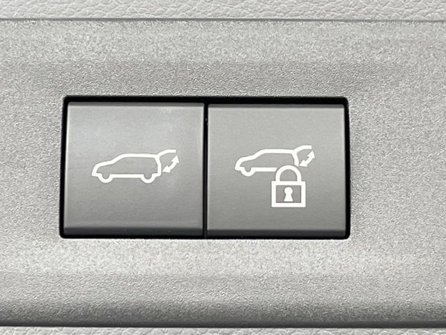 TOYOTA LEXUS NX250 2024 Image 31