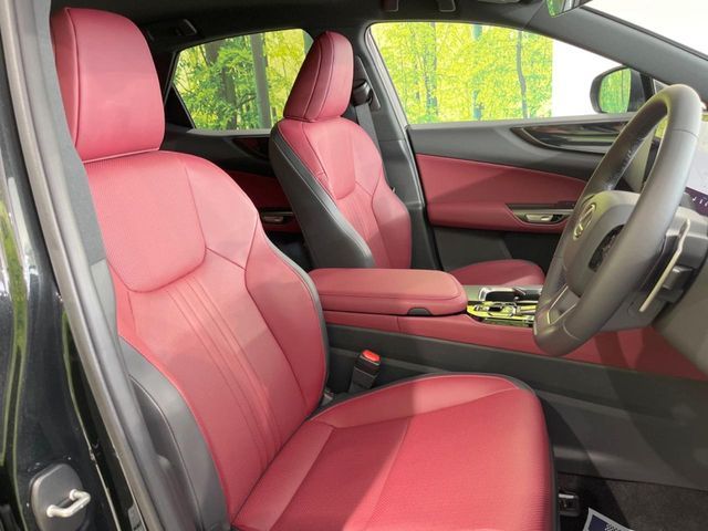 TOYOTA LEXUS NX250 2024 Image 31