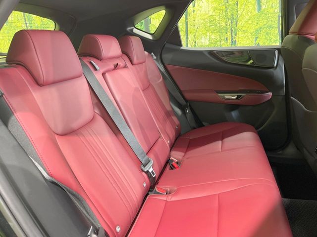 TOYOTA LEXUS NX250 2024 Image 31