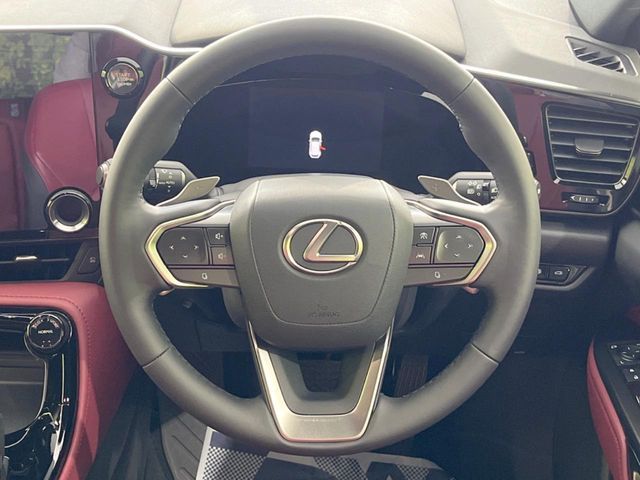 TOYOTA LEXUS NX250 2024 Image 31