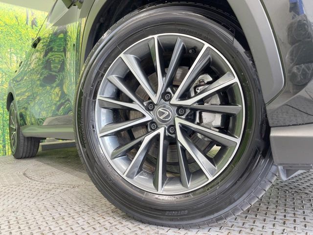 TOYOTA LEXUS NX250 2024 Image 31