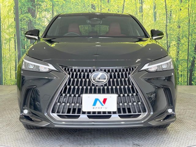 TOYOTA LEXUS NX250 2024 Image 31