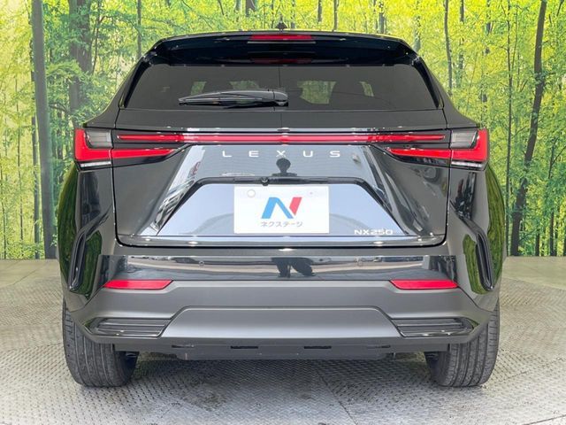 TOYOTA LEXUS NX250 2024 Image 31