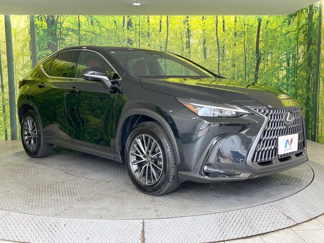 TOYOTA LEXUS NX250 2024 Image 31