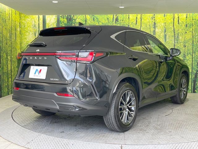 TOYOTA LEXUS NX250 2024 Image 31