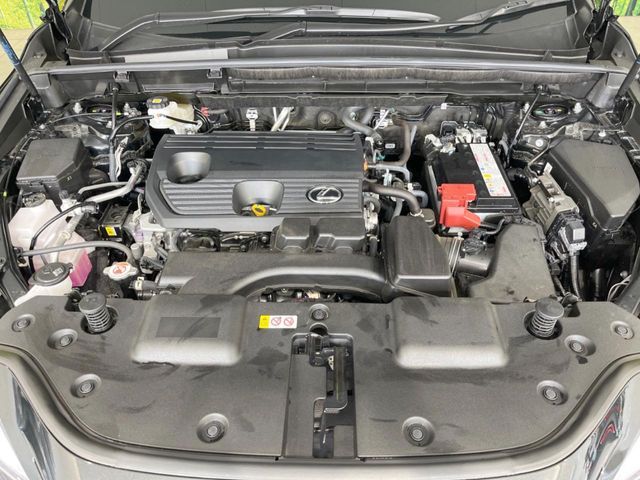 TOYOTA LEXUS NX250 2024 Image 31