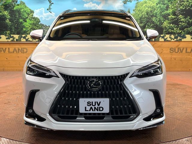 TOYOTA LEXUS NX350H 2025 Image 31