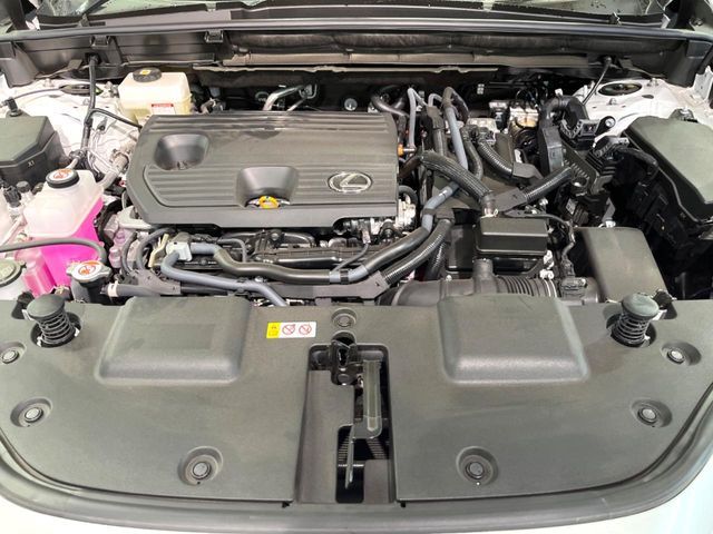 TOYOTA LEXUS NX350H 2025 Image 31