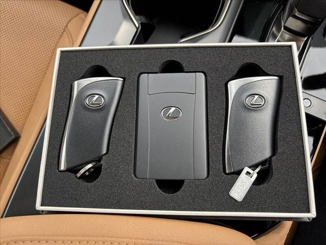 TOYOTA LEXUS NX350H 2023 Image 31